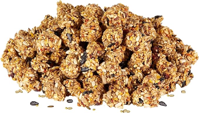 Kaytee Granola Bites with Superfoods Cranberry, Apple and Flax for Rats, Mice, Hamsters, Gerbils, Rabbits, Guinea Pigs and Chinchillas, 4.5 oz (Pack of 2)