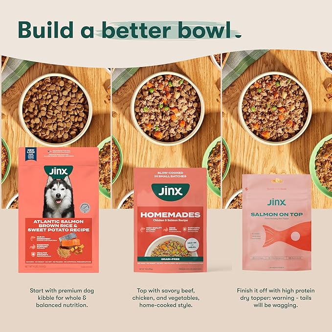 Jinx Premium Wet Dog Food Cans - Salmon Pate - Grain-Free Canned Dog Food Pate & Topper with Real Ingredients & No Fillers - All Life Stages, Breeds & Sizes - 12-Pack, 13 Oz