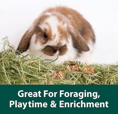 Kaytee Granola Bites with Superfoods Cranberry, Apple and Flax for Rats, Mice, Hamsters, Gerbils, Rabbits, Guinea Pigs and Chinchillas, 4.5 oz (Pack of 2)