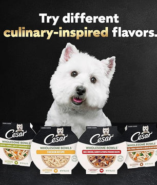 Cesar Wholesome Bowls Adult Wet Dog Food, Beef, Chicken, Carrots, Barley & Green Beans Recipe and Chicken, Apple & Sweet Potato Recipe Variety Pack, 3 oz. (6 Count, Pack of 1)