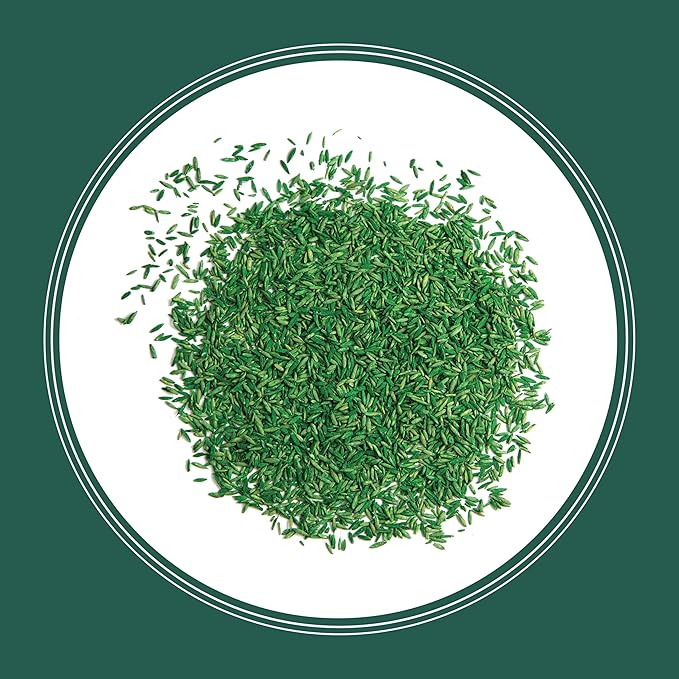 Pennington Smart Seed Sun and Shade Grass Mix 3 lb