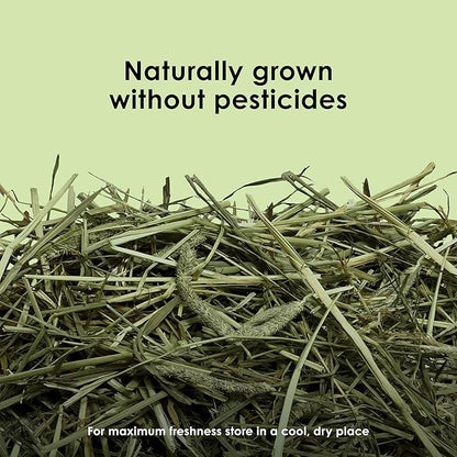 Kaytee Timothy Hay, High Fiber, Grown Specifically for Small Animals, Rabbits, Guinea Pigs, Chinchillas, 48 Ounces