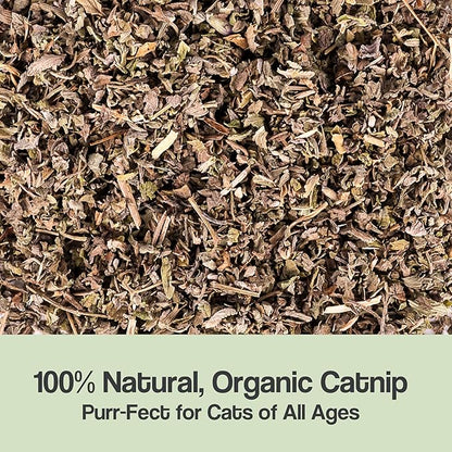 Organic Catnip for Cats & Kittens – 1.76 oz Premium Natural Catnip, High Potency Blend for Playtime, Training, and Stress Relief, 2 Cups of Dried Cat Nip Leaves