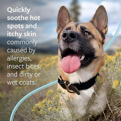 Veterinary Formula Clinical Care Hot Spot & Itch Relief Medicated Shampoo for Dogs and Cats 16 Fl Oz – Helps Alleviate Sensitive Skin, Scratching, and Licking of Coat (2 Pack)