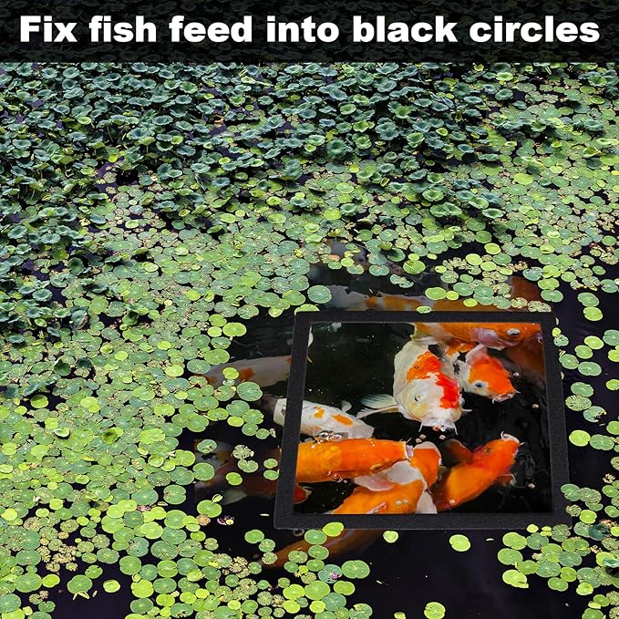 10pcs Aquarium Floating Plant Corral, Oval & Square Fish Feeding Rings, Mix Sizes Fish Tank Accessories for Betta Goldfish Turtle- Black