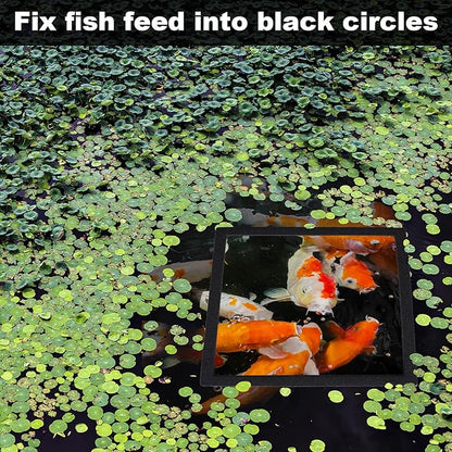 10pcs Aquarium Floating Plant Corral, Oval & Square Fish Feeding Rings, Mix Sizes Fish Tank Accessories for Betta Goldfish Turtle- Black