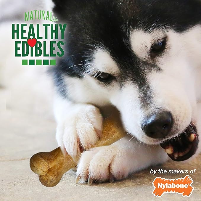 Nylabone Healthy Edibles Natural Dog Chews Long Lasting Roast Beef & Chicken Flavor Treats for Dogs, Small/Regular (24 Count)