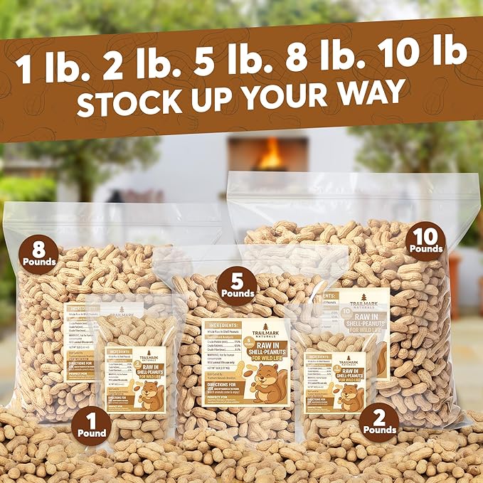 1 LB - Raw Peanuts For Squirrels, Raw In Shell Peanuts For Birds and Wildlife- Squirrel Food, Wild Bird Seed - Grown in The USA