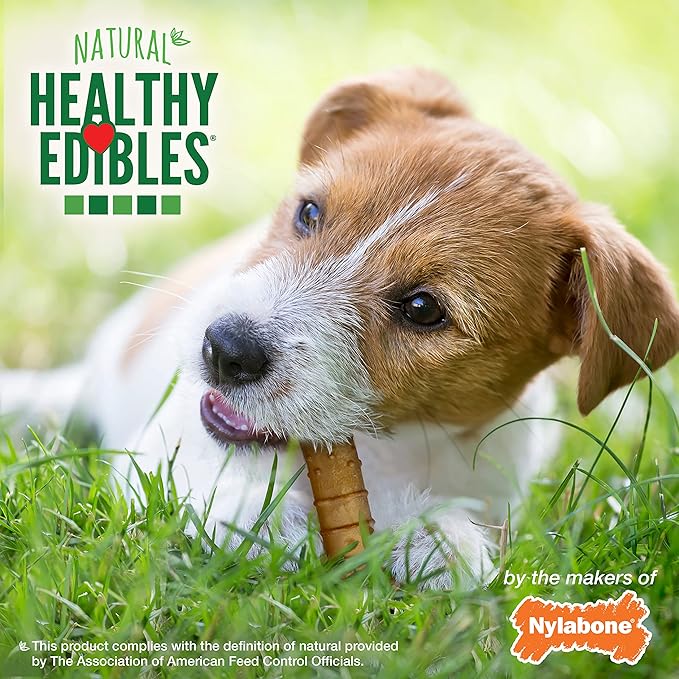 Nylabone Healthy Edibles Natural Dog Chews Long Lasting Turkey & Apple Flavor Treats for Dogs, Small/Regular (4 Count)