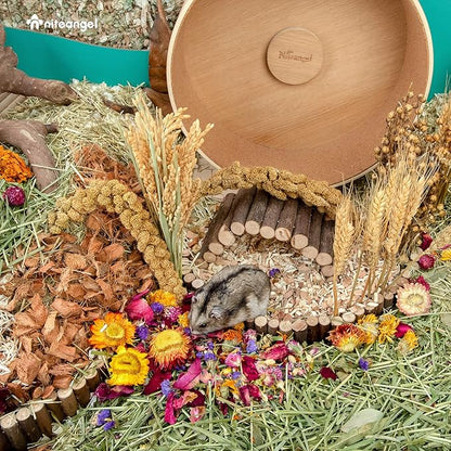 Niteangel Natural & Soft Hamster Bedding Mate Small Animal Habitat Decor for Syrian Dwarf Hamsters Gerbils Mice Degus Bunny or Other Small-Sized Pet (Flowers Scent Path)
