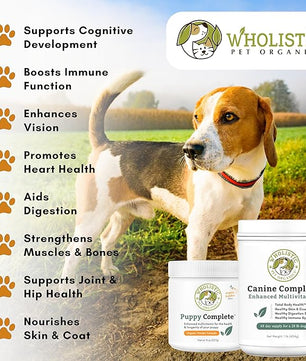 Wholistic Pet Organics Canine Complete - Dog Multivitamin Powder - 2 Lb - Daily Dog Vitamins and Supplements for Homemade Food - Immune System, Skin, Coat & Overall Health - Small and Large Breed