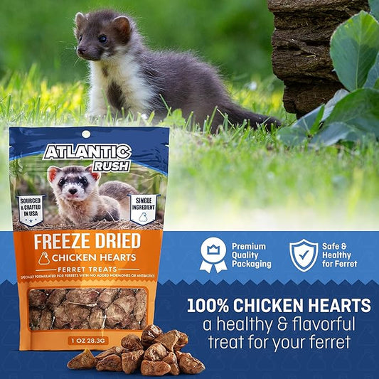Freeze Dried Small Pet Treats - Resealable Bag of Treats for Ferrets - Ferret Snacks - Single Ingredient Ferret Food With No Preservatives Or Fillers- Small Animals Treats (1oz, chicken Heart)