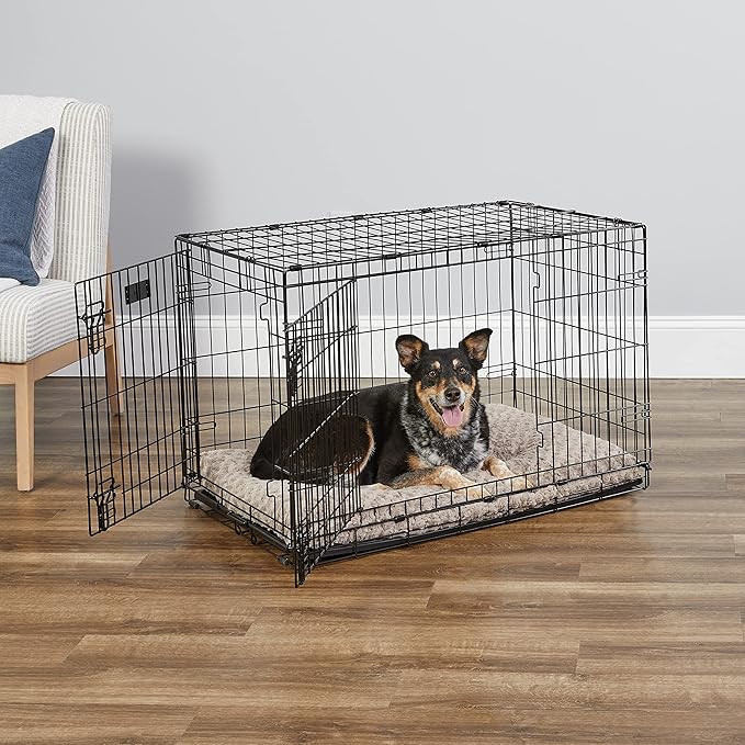 MidWest Homes for Pets 36-Inch Two-Door iCrate Folding Dog Crate with Divider Panel, Leak-Proof Tray & Secure Latches – Metal Wire Kennel for M-L Breeds – Portable, Durable & Easy to Assemble