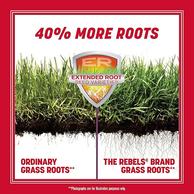 Pennington The Rebels Tall Fescue Grass Seed Mix 20 lb