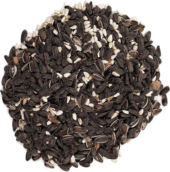 Wagner's 62032 Cardinal Blend Wild Bird Food, 6-Pound Bag