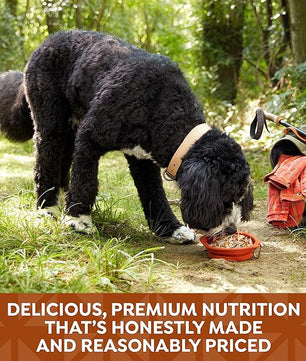 Nature's Recipe Nature’s Recipe 2.75 Ounce Grain Free Chicken & Beef, Chicken & Turkey, Chicken & Lamb Wet Dog Food Variety Pack, 12 Pack, 2 Count Case