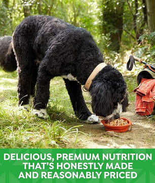 Nature's Recipe Grain Free Wet Dog Food, Chicken & Duck Recipe, 2.75 Ounce Cup (Pack of 12)