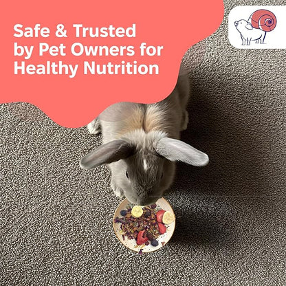 2 oz Fruit and Flower Topper – Natural Foraging Treat for Small Pets – Rabbits, Guinea Pigs, Chinchillas & More – Rich in Antioxidants & Vitamin C