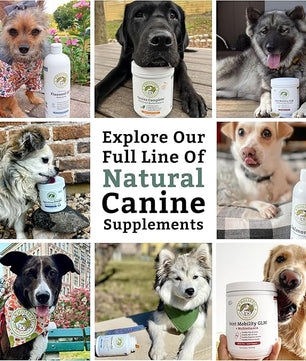 Wholistic Pet Organics Canine Complete - Dog Multivitamin Powder - 4 Lb - Daily Dog Vitamins and Supplements for Homemade Food - Immune System, Skin, Coat & Overall Health - Small and Large Breed