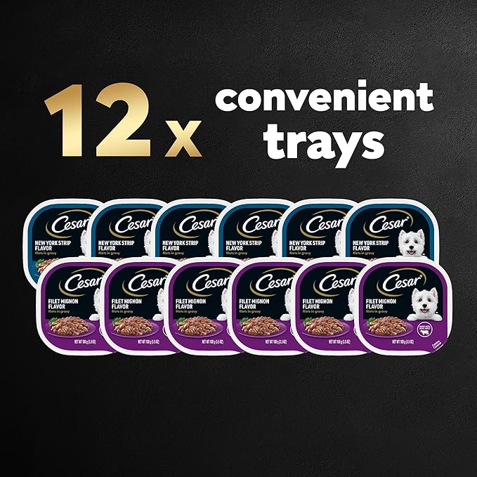 Cesar Filets in Gravy Adult Wet Dog Food, Filet Mignon and New York Strip Flavors Variety Pack, 3.5 oz. (12 Count, Pack of 1)