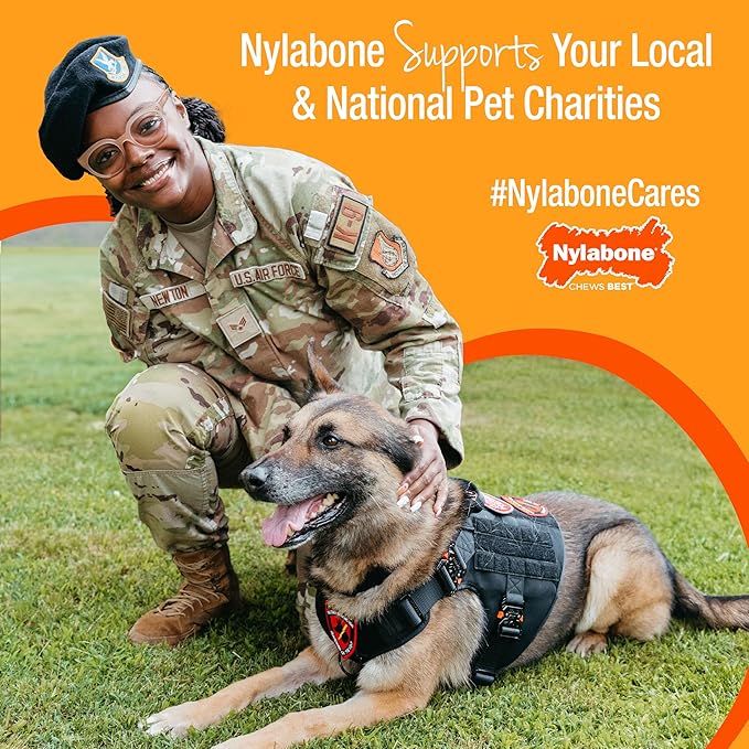 Nylabone Healthy Edibles Natural Dog Chews Long Lasting Chew Treats for Dogs, Roast Beef & Chicken Flavor, X-Small/Petite (8 Count)