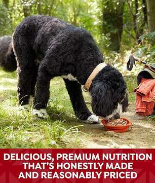 Nature's Recipe Grain Free Chicken & Beef Recipe in Savory Broth Wet Dog Food, 2.75 oz. Cup, 12 Count