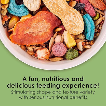 Kaytee Fiesta Mouse & Rat Food, Nutritious and Fun Blend, Supports Dental Health and Digestion, 4.5 pounds