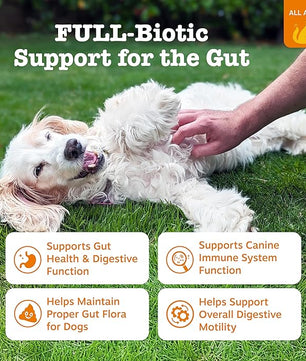 Zesty Paws Vet Strength Probiotics for Dogs, Digestive Health & Gut Flora Support, Dog Supplements, 90 Count