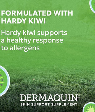 Nutramax Dermaquin Skin Support Supplement for Large Dogs, Supports Healthy Response to Allergens, with Hardy Kiwi, Omega-3s, and More, Tasty Soft Chews, 60 Count