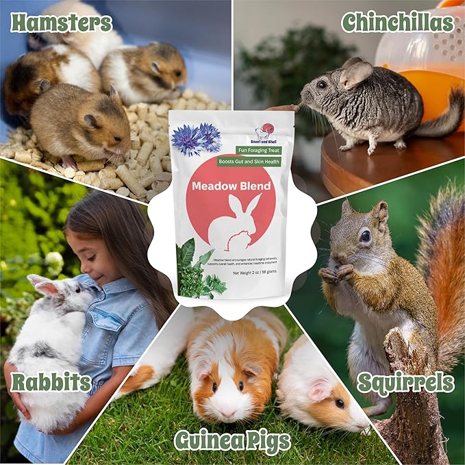 Snout and Shell 2oz Meadow Blend – Natural Foraging Treat for Rabbits, Guinea Pigs & Chinchillas – High-Fiber Supplement