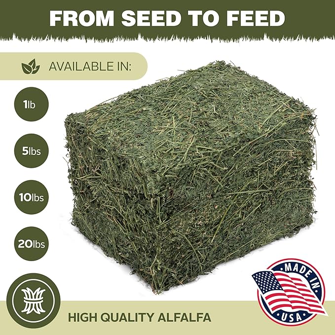 High Desert Alfalfa Hay, Protein Rich Soft Leaf Food for Young Growing Animals, Natural Rabbit Food and Guinea Pig Hay, Supports Digestive Health, Small Pet Supplies, Fresh Hand, Pack of 2, 10 Lb Box