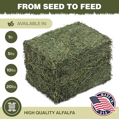 High Desert Alfalfa Hay, Protein Rich Soft Leaf Food for Young Growing Animals, Natural Rabbit Food and Guinea Pig Hay, Supports Digestive Health, Small Pet Supplies, Fresh Hand, Pack of 2, 10 Lb Box