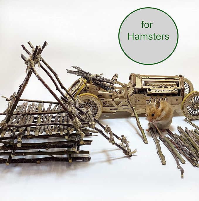 ECOVENIK Apple Sticks 120 gram Rabbit & Hamster Chew Toys - 100% Natural & Organic Chinchilla Food, Treats for Guinea Pig, Squirrels, Parrots & Other Small Animals (Made in Ukraine)