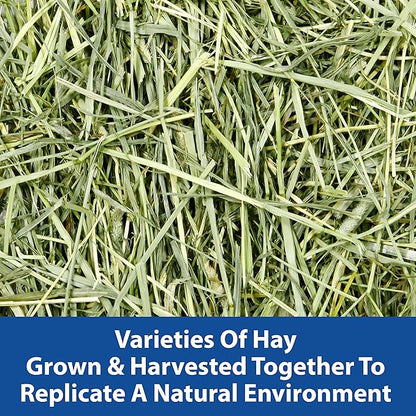 Kaytee All Natural Timothy Hay Wild Meadow Hay Blend for Guinea Pigs, Rabbits & Other Small Animals, 24 Ounce