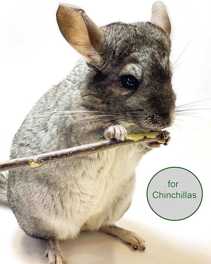 ECOVENIK Apple Sticks 120 gram Rabbit & Hamster Chew Toys - 100% Natural & Organic Chinchilla Food, Treats for Guinea Pig, Squirrels, Parrots & Other Small Animals (Made in Ukraine)