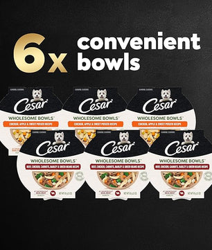 Cesar Wholesome Bowls Adult Wet Dog Food, Beef, Chicken, Carrots, Barley & Green Beans Recipe and Chicken, Apple & Sweet Potato Recipe Variety Pack, 3 oz. (6 Count, Pack of 1)