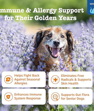 Zesty Paws Dog Allergy Relief - Anti Itch Supplement - Omega 3 Probiotics for Dogs - Stop Paw Licking - Soft Chews for Skin Health & Seasonal Allergies - with Epicor Pets - Senior - Salmon - 90 Count