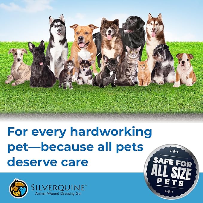 Hot Spot Gel for Dogs and Cats - Dog Wound & Pet Skin Irritation Solution for Birds, Hamsters, Emergency Kit, Hydrogel Ointment for Cuts, Burns, Itch, Pet Restoration & Wellness - 4.0 Oz