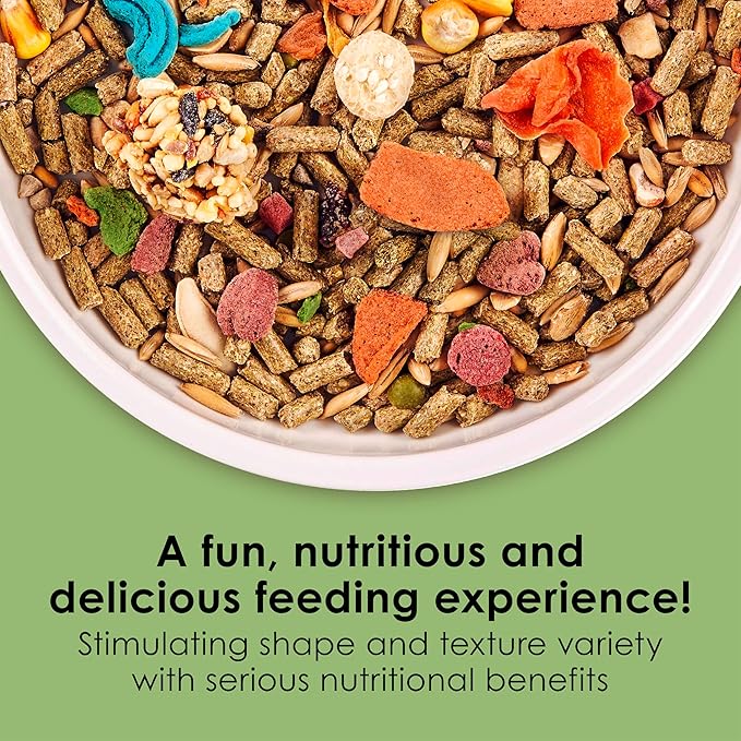 Kaytee Fiesta Guinea Pig Food, Nutritious and Fun Blend, Supports Dental Health and Digestion, 2.5 pounds