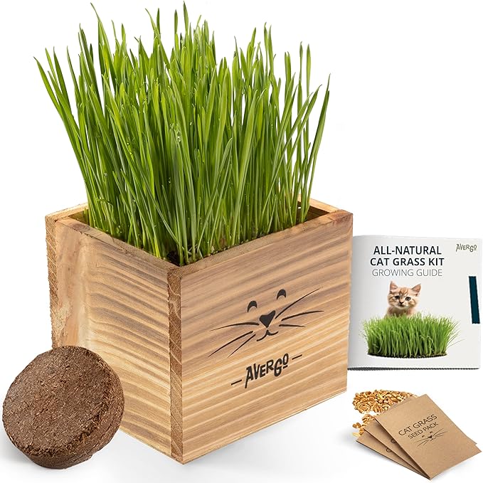 Cat Grass Kit for Indoor Cats – x2 Seed Packets | Cat Grass Seeds with Wooden Planter & Soil – Pet-Safe Wheatgrass Grass