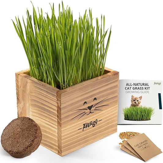 Cat Grass Kit for Indoor Cats – x2 Seed Packets | Cat Grass Seeds with Wooden Planter & Soil – Pet-Safe Wheatgrass Grass