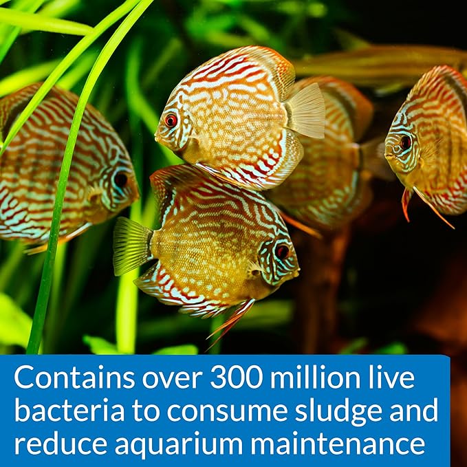 API STRESS ZYME Freshwater and Saltwater Aquarium Cleaning Solution 16-Ounce Bottle