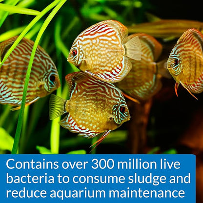 API STRESS ZYME Freshwater and Saltwater Aquarium Cleaning Solution 64-Ounce Bottle