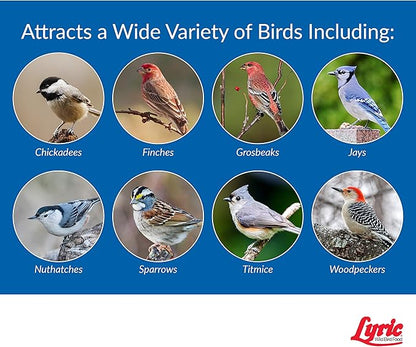 Lyric Wild Bird Mix - Wild Bird Food for Outside Feeders - Attracts Doves, Jays and many more - 40 lb. Bag