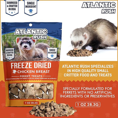 Freeze Dried Small Pet Treats - 1oz Resealable Bag of Treats for Ferrets - Ferret Snacks - Single Ingredient Ferret Food With No Preservatives Or Fillers- Small Animals Treats (1oz, Chicken Breast)