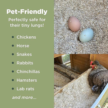 Hemp Nesting Fiber - 10 lb Chicken Nest Box Pad Hemp Fiber Fill - Absorbent DUST Free- Egg Laying Chickens coop, Horse stall, Rabbit, Reptile, Hamster, Cage Fibre, FiberFill Washable - Grown in USA