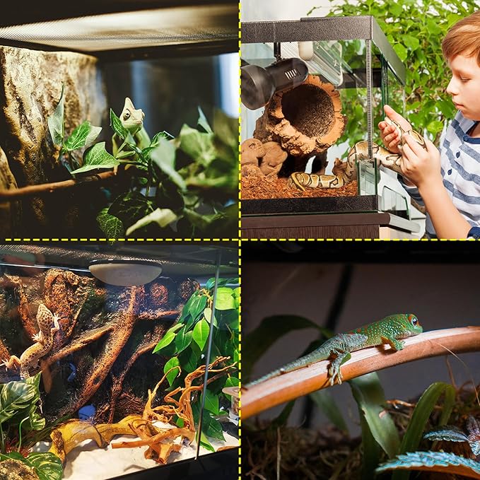 32 Gallon Professional Glass Terrarium 18"x18"x24" Durable Reptile Habitat Tank with Heat Resistant Aluminum Alloy Frame, Dual Front Swinging Doors for no Jam by Sand and Other Debris