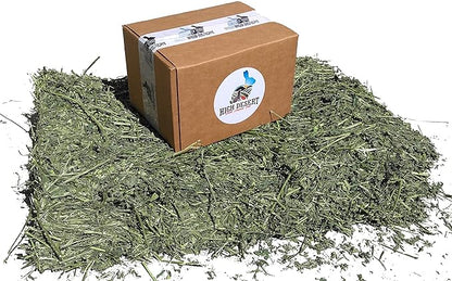 High Desert Alfalfa Hay, Protein Rich Soft Leaf Food for Young Growing Animals, Natural Rabbit Food and Guinea Pig Hay, Supports Digestive Health, Small Pet Supplies, Fresh Hand Packed 1 Lb Box
