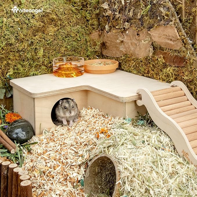Niteangel Multi-Chamber Hamster House Maze: - Multi-Room Hideouts & Tunnel Exploring Toys for Hamster Gerbils Mice Lemmings (3-Room Small)