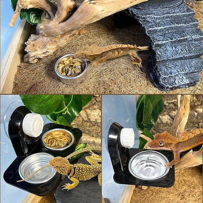 Tfwadmx 12Pcs Gecko Feeding Cups, 0.5oz Metal Reptile Food Cups, Crested Gecko Food Dish, Feeding Ledge Accessories for Small Lizards, Tarantulas